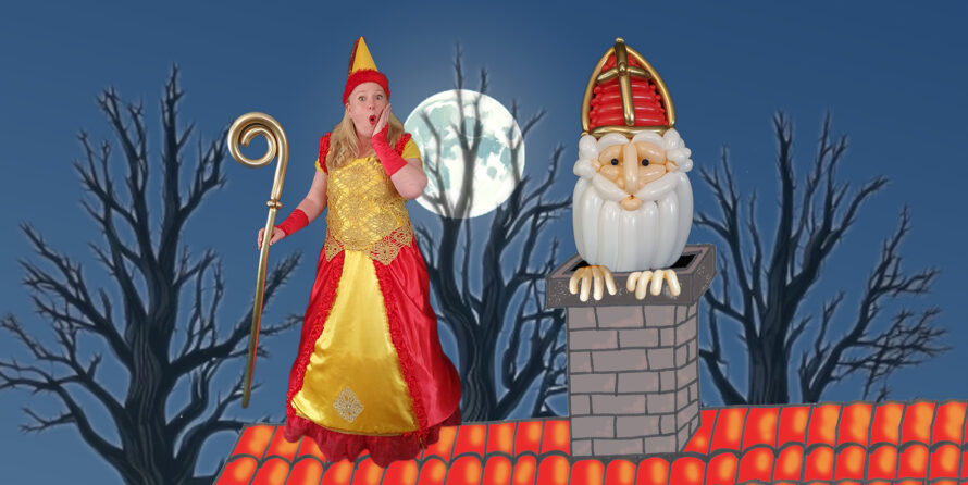 De Ballonnenfee en het grote mysterie van Sinterklaas (4+)