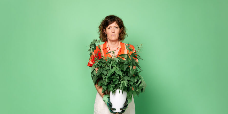 Pippi en de Piraten